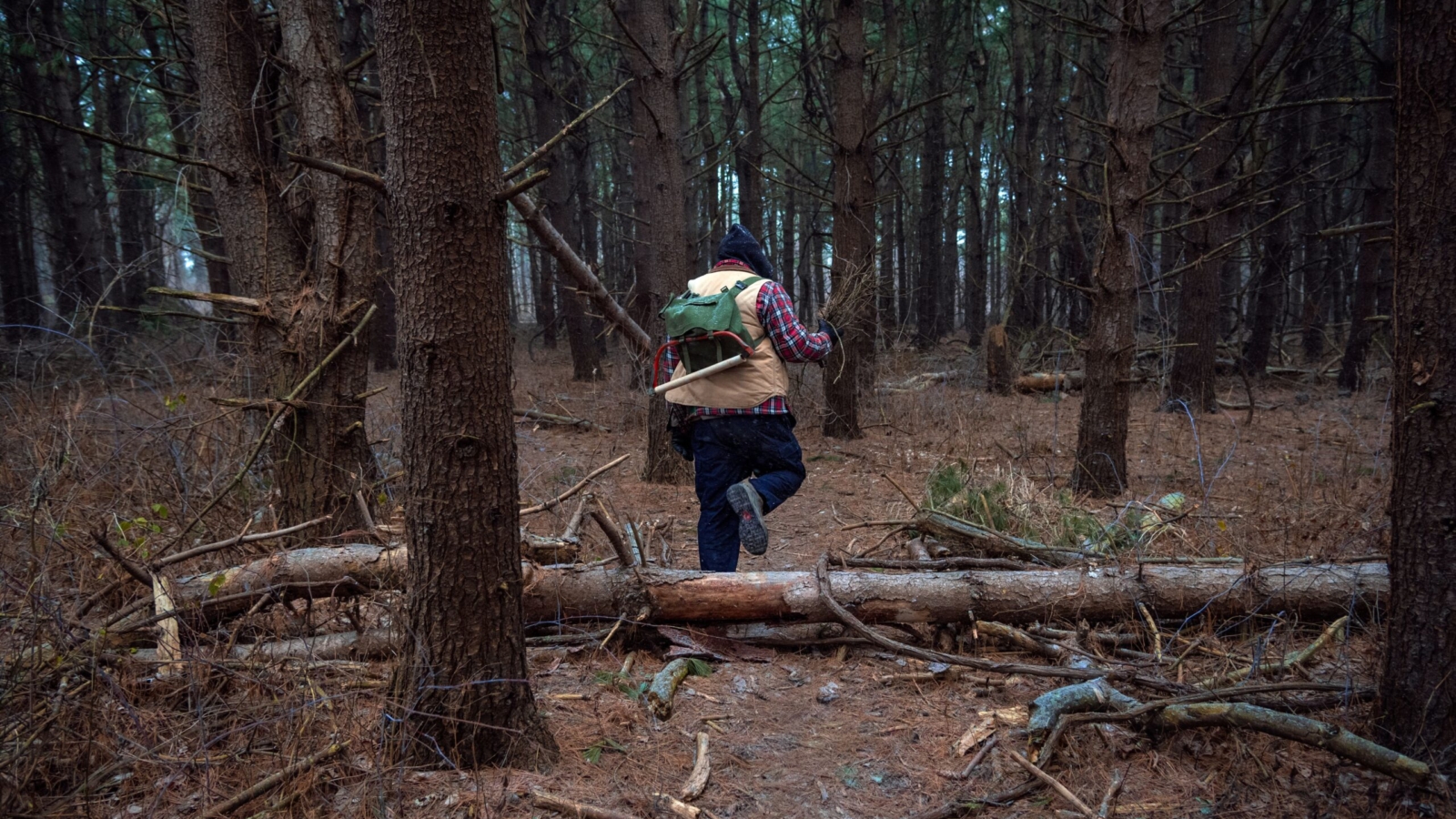Persona con mochila en un bosque